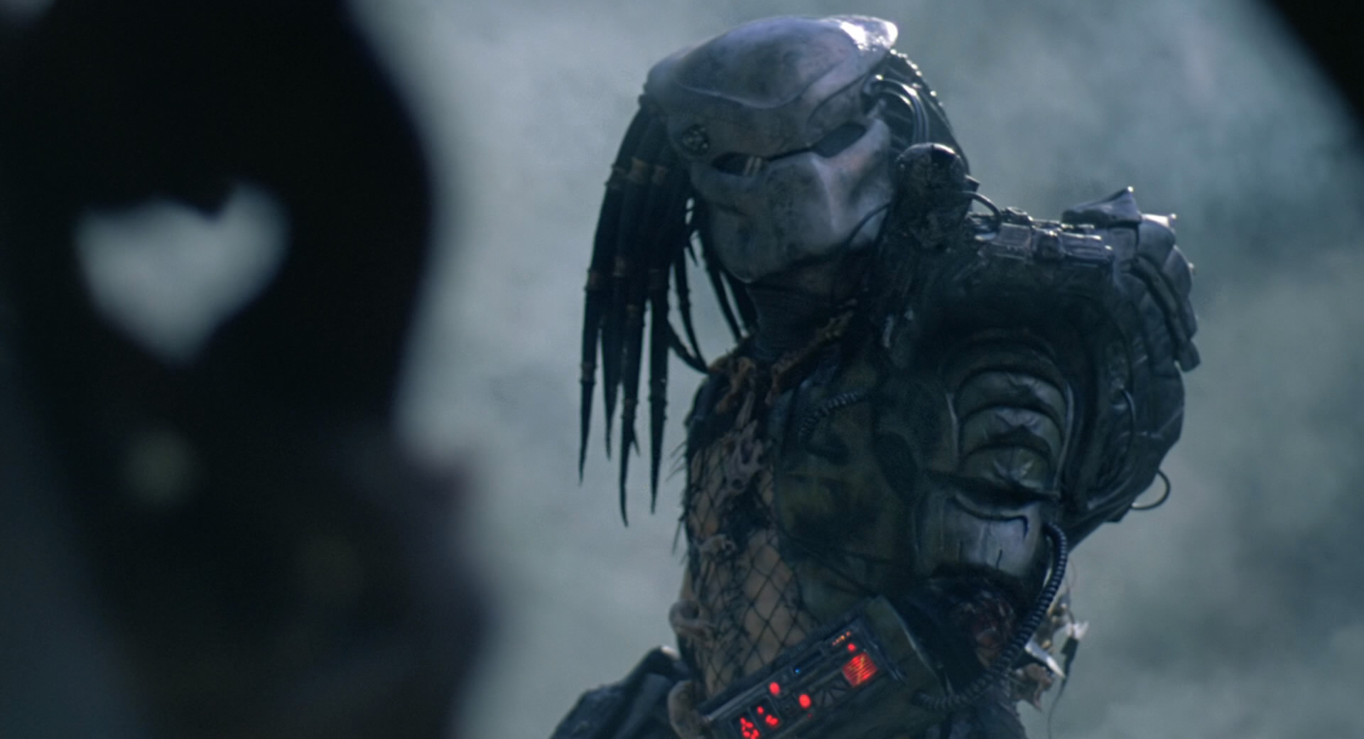 Predator 2016
