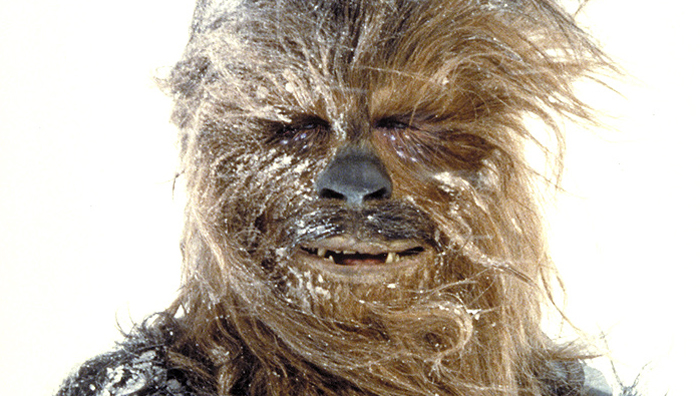 chewbacca