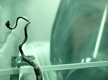 Terminus movie review