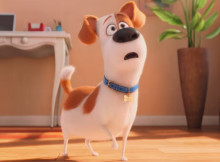 The Secret Life of Pets