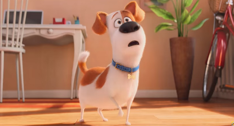 The Secret Life of Pets Trailer