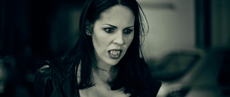 seize-the-night-movie