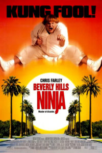 Beverly Hills Ninja movie review