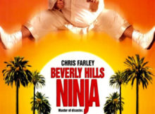 Beverly Hills Ninja movie review