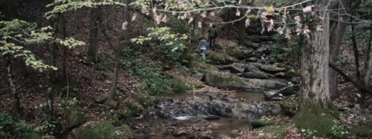 Girl in woods