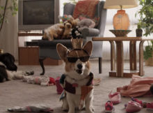 A Dog's Purpose Trailer