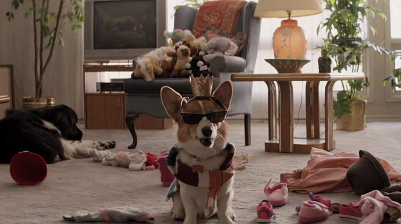 A Dog's Purpose Trailer