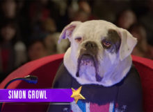 Pup Star Trailer