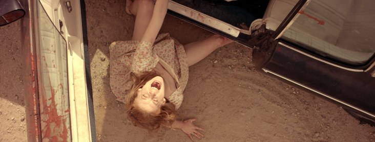 Carnage Park