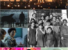 NFB selection at the Calgary International Film Festival