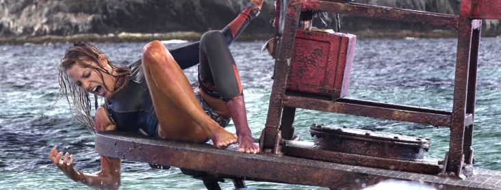 The Shallows