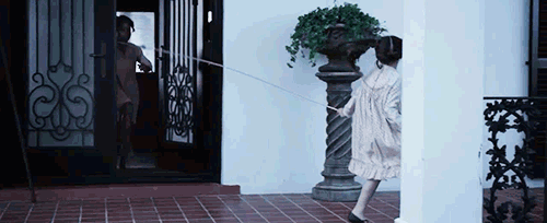 birth of a nation gif