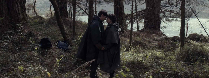 The Lobster (2016)