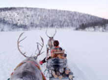 All Aboard! The Sleigh Ride
