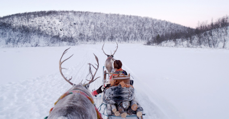 All Aboard! The Sleigh Ride