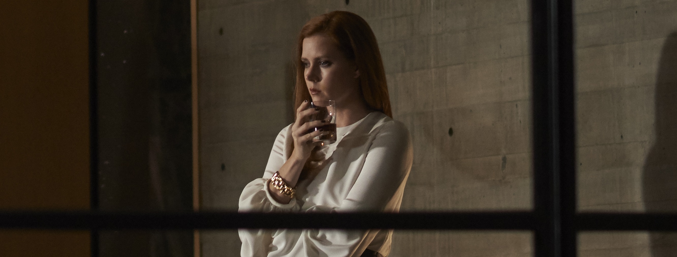 Nocturnal Animals movie review