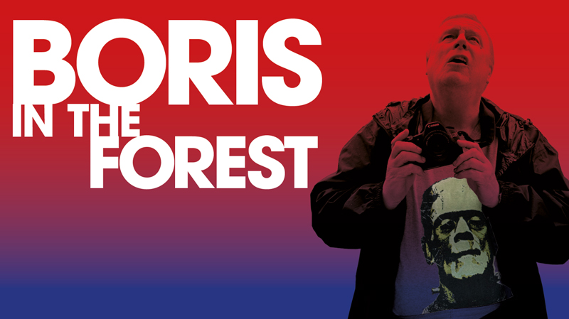 Boris in the Forest movie review