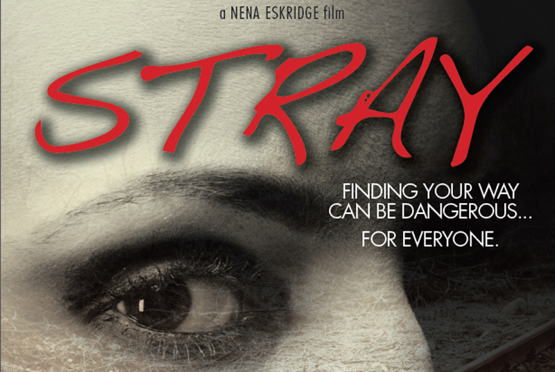 stray-movie