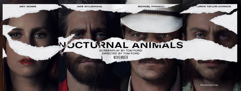6 points about Nocturnal Animals 
