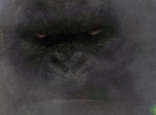 Kong: Skull Island movie review