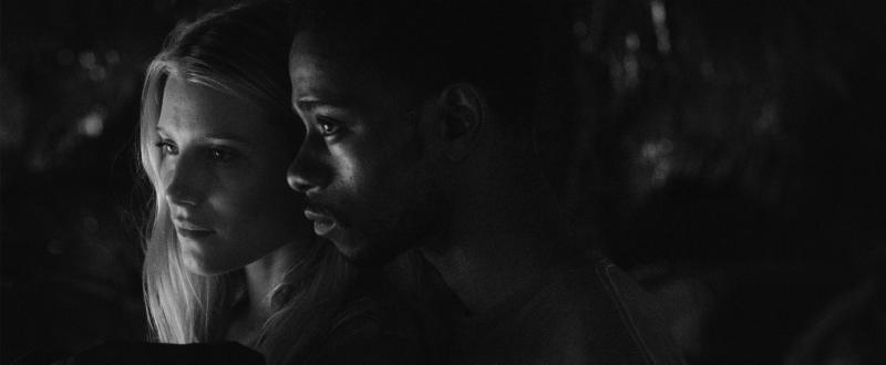 Logan Sandler's LIVE CARGO Washes Ashore In New York and LA March 31st