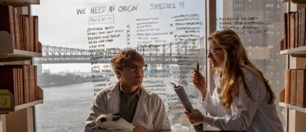 I Origins