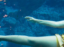 Documentary Film Festival 2017