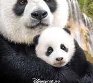 born in china movie review