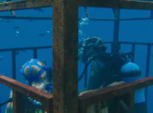 47 Meters Down Trailer