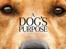 A Dogs Purpose movie review