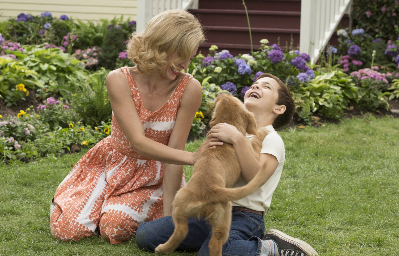 A Dogs Purpose movie review