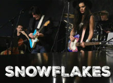 Snowflakes