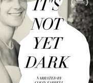 it's not yet dark movie review