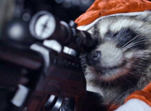 Killer Raccoons 2