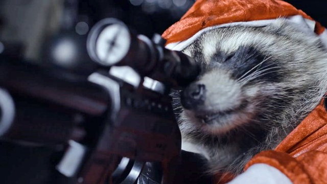 Killer Raccoons 2