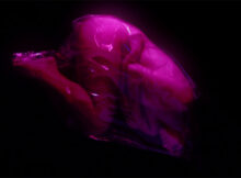 Abduction trailer