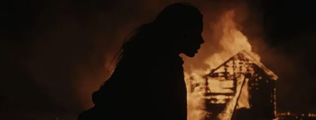 BEFORE THE FIRE (2020)