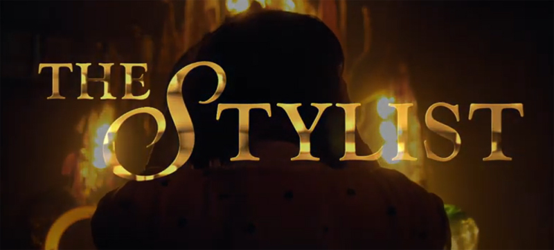 The Stylist