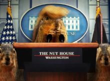 The World's Gone Nutz still