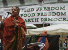 The Seeds of Vandana Shiva
