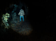 A Cold Grave film still