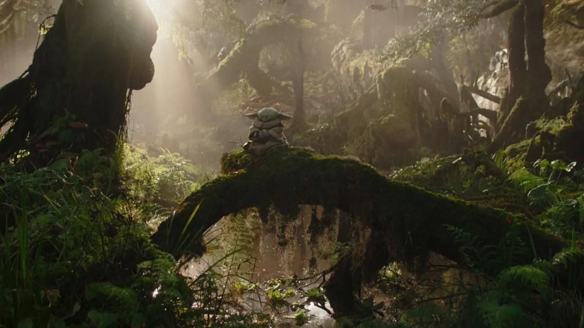 Grogu meditating in the forest.
